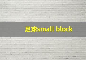 足球small block